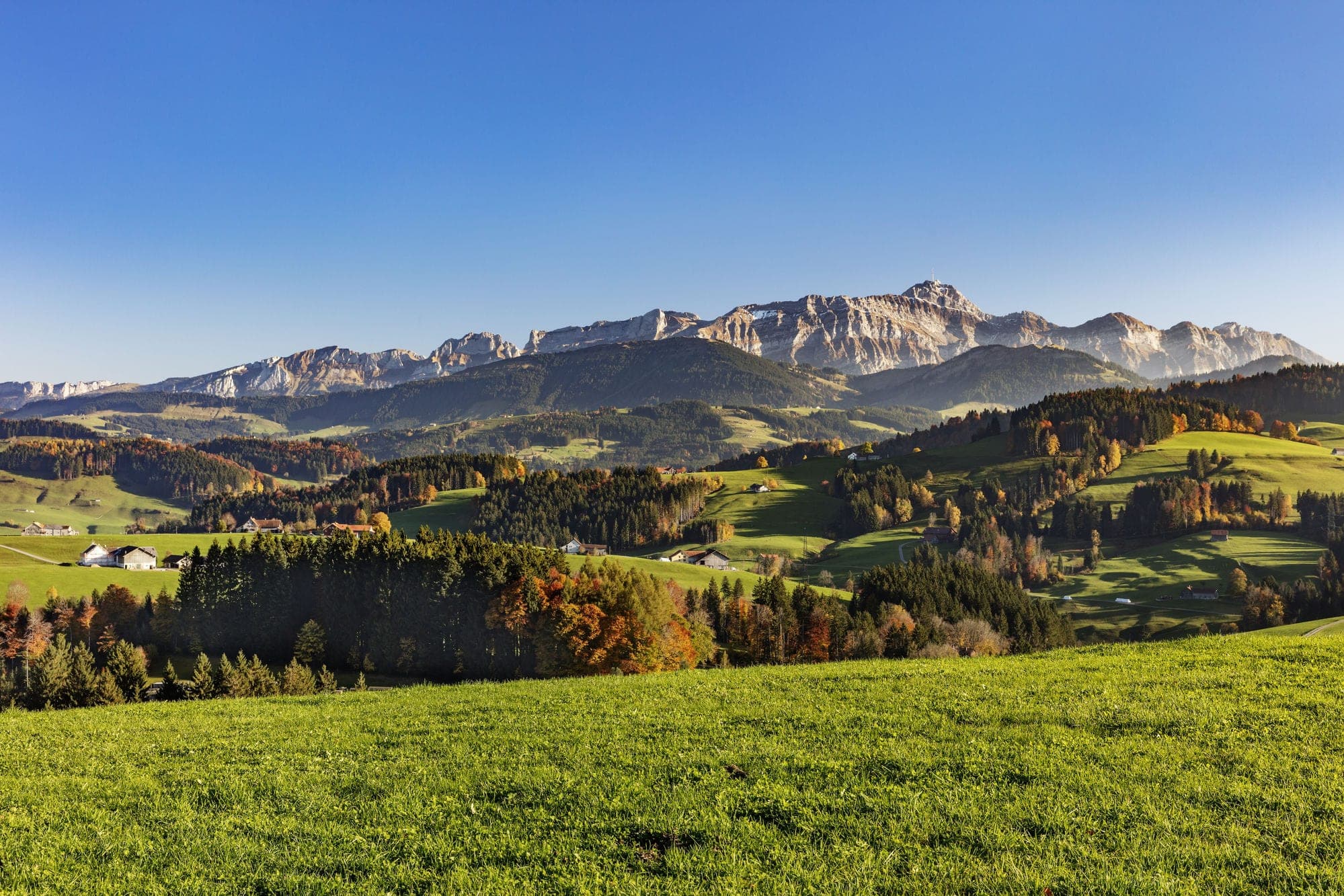 Herbstliche Hügellandschaft im Appenzeller Hinterland mit Streusiedlung und Blick zum Säntis